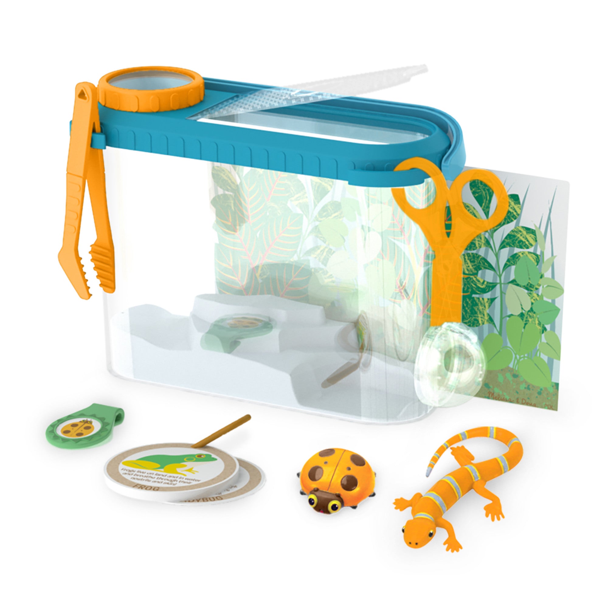 Let's Explore Terrarium Observations Play Set - Image 4
