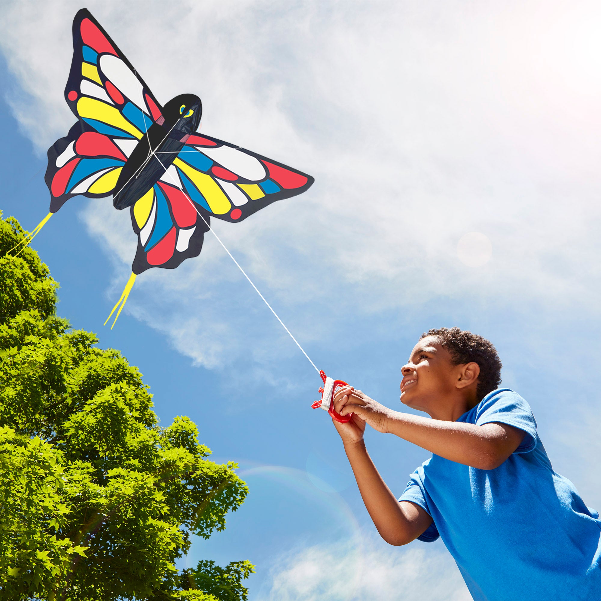 Beautiful Butterfly Kite - Image 10
