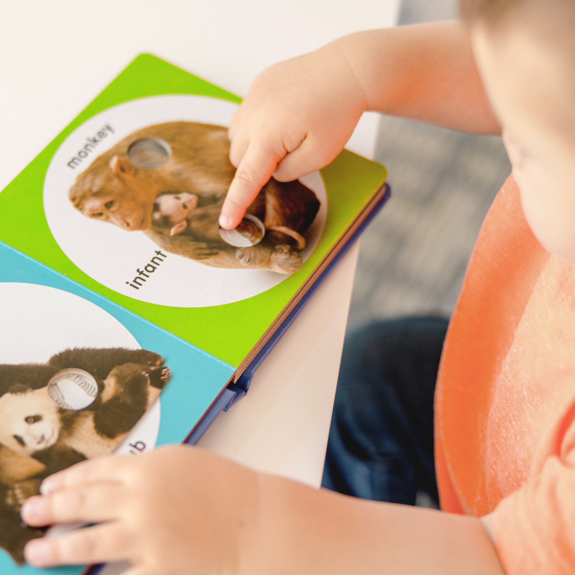 Poke-a-Dot: Wild Animal Families Board Book - Image 5